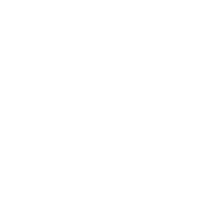 Saxxon IT Consultants Perth WA